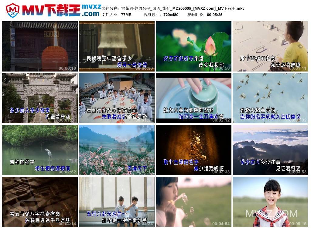 雷薇羽-你的名字_国语_流行_MD206005